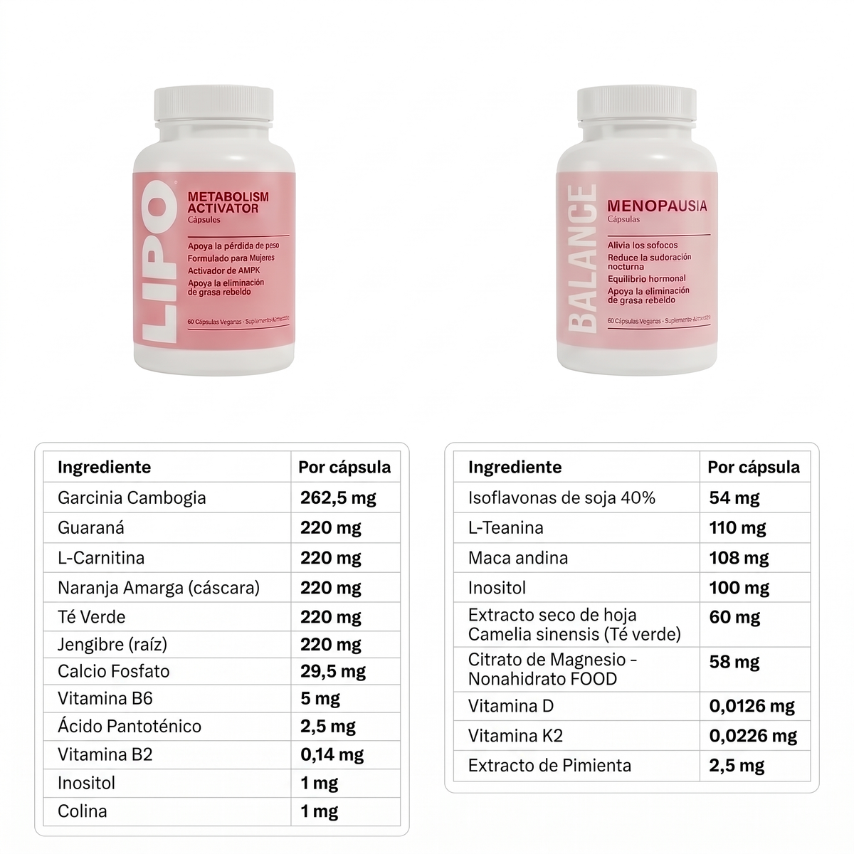 Pack Completo - Lipo y Balance